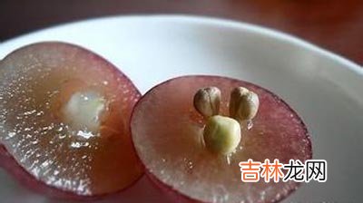 葡萄护肤 功效好
