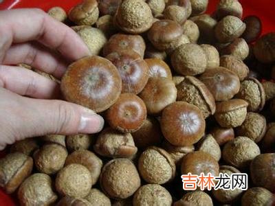 天价“壮阳果”原是牲畜饲料被抓获