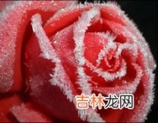 冻疮攻防指南