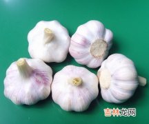 冬季清脂必备的食物　让你苗条过冬