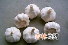 变着花样吃大蒜更加养生