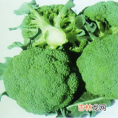 盘点能够增加皮肤弹性的食物种类