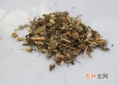 中药美容 益母草的美容功效