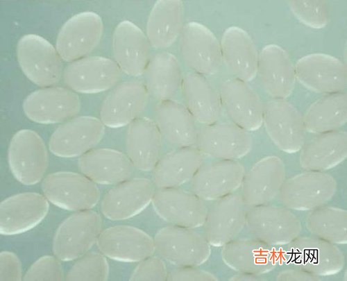 化妆品小废物是宝贝