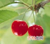 凉热食材搭配丕养颜反伤身