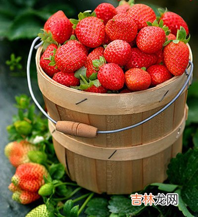 中醫藥膳養顔祛斑神奇效果