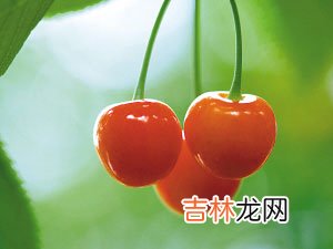 经期前后美容四步调养方法