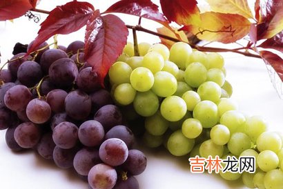 让女人远离皱纹的4种食物