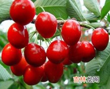 凉拌菜夏季预防青春痘