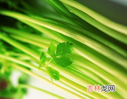 牛奶菜帮你吃出好肤色