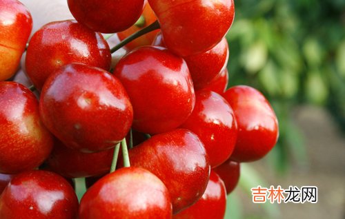 七日亮肤焕白 吃掉暗黄肌食谱