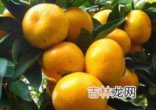 土豆和女人和健康的关系