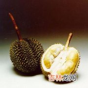 适量吃荔枝防雀斑发生