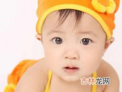 女人必知美容养颜TOP10食品