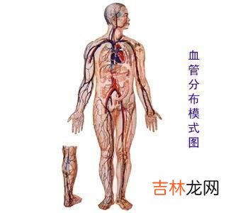 心血管病病人散步体育锻炼时要不要服药