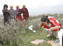 抗衰老主力是饮食