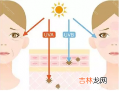 游泳塑造优美体型