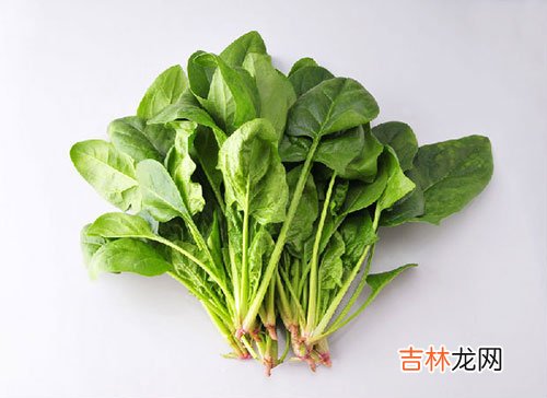 越吃越美丽之菠菜