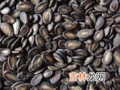 饮食美容的技巧5则