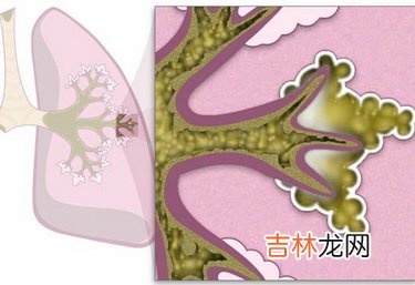 教你9招让你的餐桌纤维化