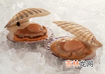 补血贝类吃出红润肤色