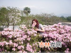全球认可的最佳健康食品榜