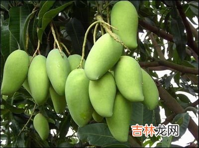 教会你怎样鉴别催熟的蔬果