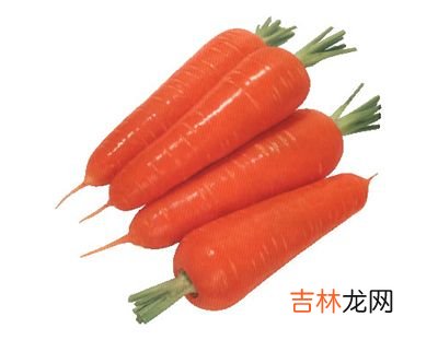 滋润秀发维生素营养大全