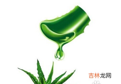 芦荟保湿凝胶该如何使用