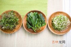 女人的15到50岁饮食护肤法