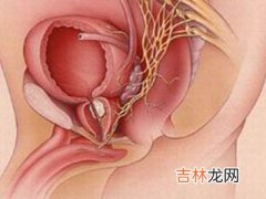 尿频尿急腺体增生女性亦需防前列腺病