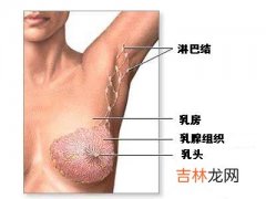 妊娠期乳房皮肤体重的改变