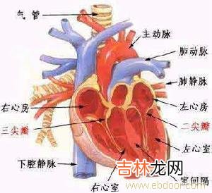 19岁姑娘突发心肌梗塞