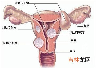 从好朋友处看健康