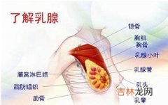 乳腺癌术后该做啥