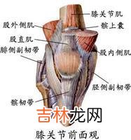 女人膝盖的韧带更易断裂