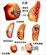 乳腺疾病的自我检查