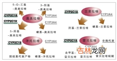 质子泵抑制剂和阿斯匹林对怀孕妇女相对安全