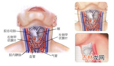 如何自我判断青春期否正常