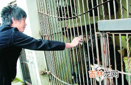 太阳晒过头老来易失明
