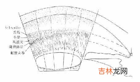 房角是什么具有什么重要的功能