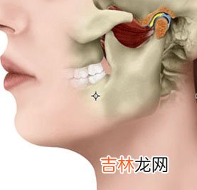 正畸治疗中为什么必须关注颞下颌关节状态