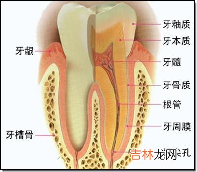 牙髓坏死牙髓变性是怎么回事