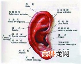 耳廓化脓性软骨膜炎的临床表现和治疗措施是什么