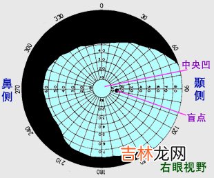 视野的检查方法有哪些