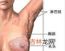 乳房Paget病肿瘤组织中Bcl2Bax雌激素和孕激素受体表达的研究