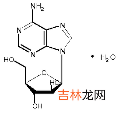 别嘌呤醇所致各型药疹的预后与肾功能的关系