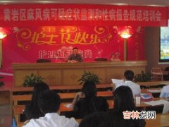 全国性病麻风病疫情监测工作会议麻风疫情工作组会议纪要