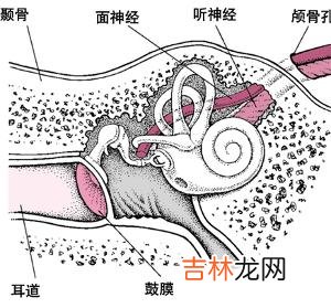 面瘫与耳部疾患有关系吗