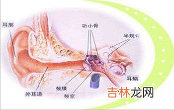 什么是外耳道骨疣